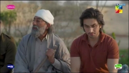 Zard Patton Ka Bunn - Episode 13 - 4th August 2024